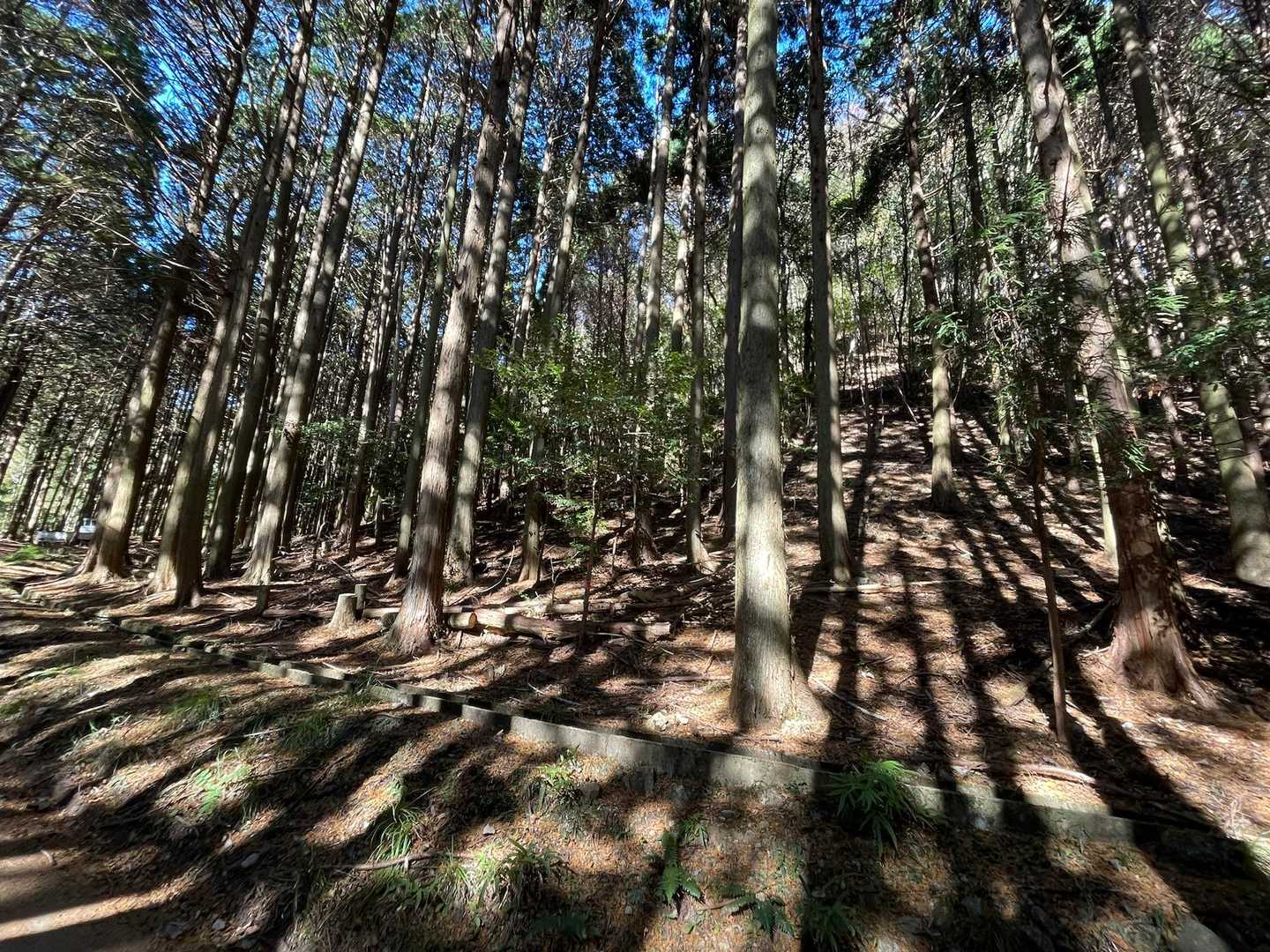 この奥の斜面を降りてきました。車まで戻って登山終了‼️
最後まで見ていただきありがとうございました！