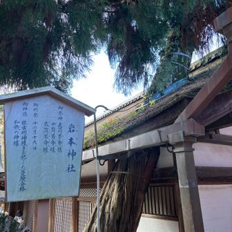 ビャクシンが屋根を突き抜けてる😳