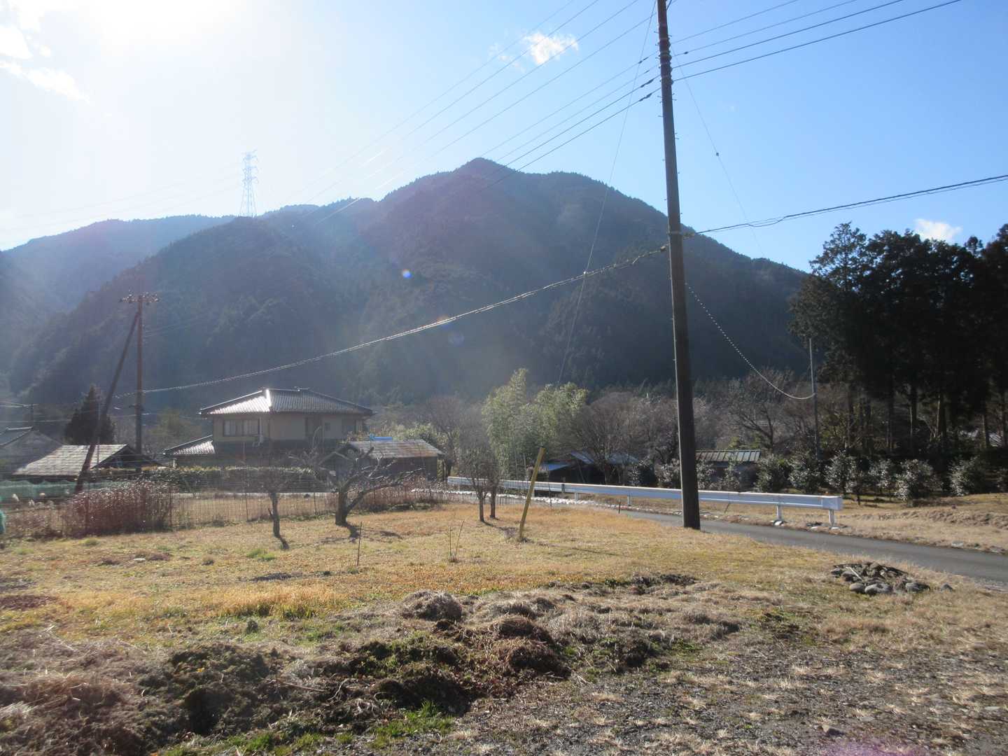 先日登った鳴蟲山（なきむしやま）