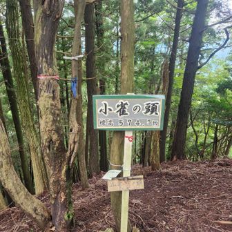 錫杖ヶ岳から近いと思ったけど、起伏が多く、少し距離もあり疲れた💦