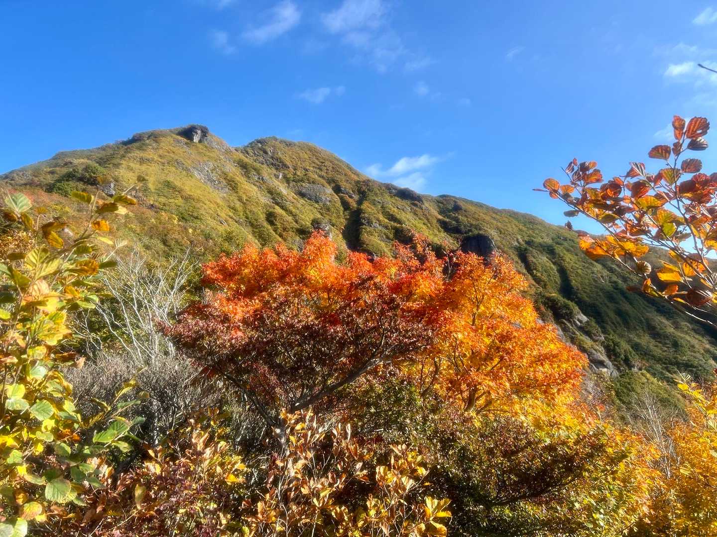 彩り鮮やかな白毛門方面🍁