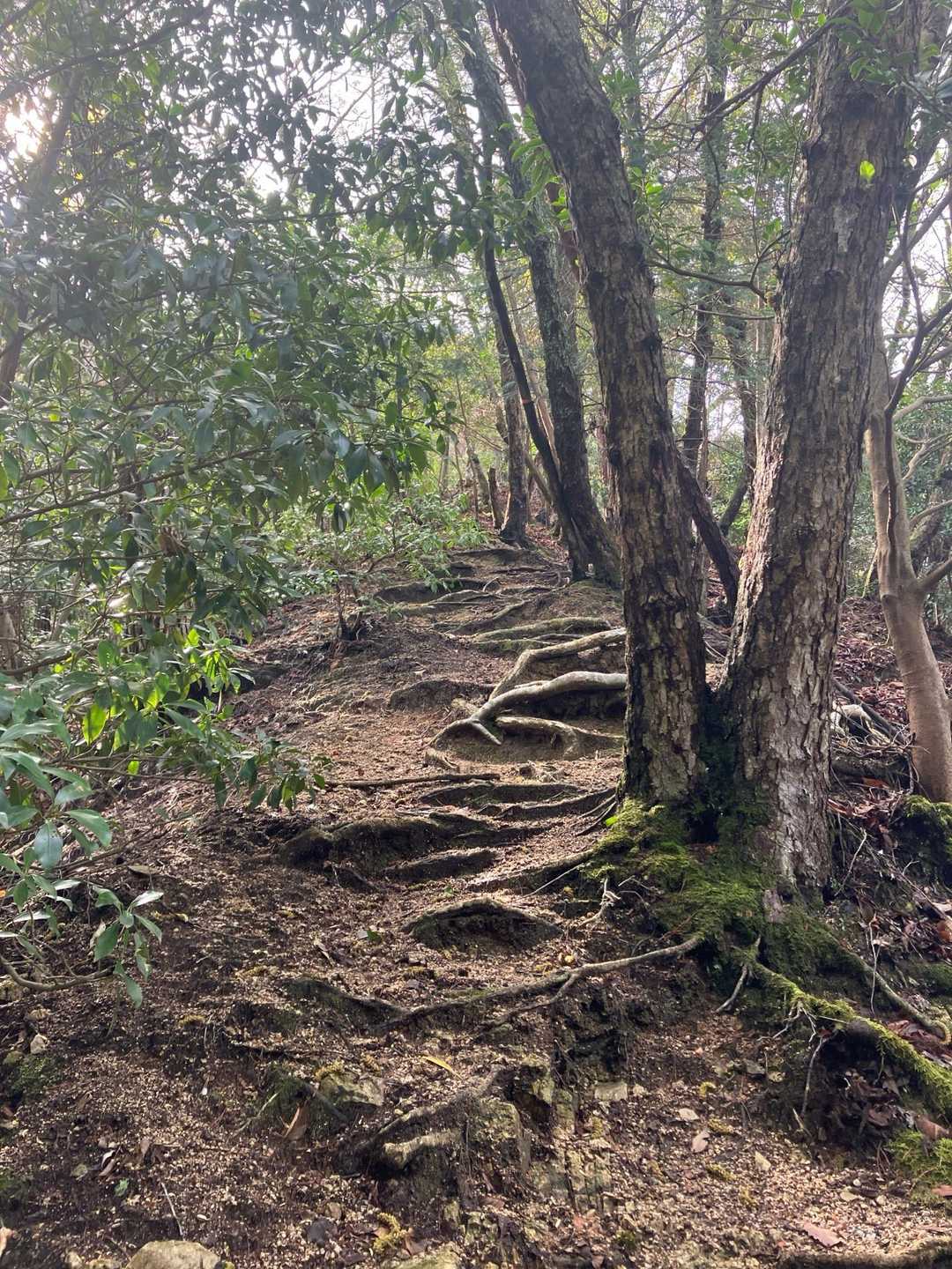 結構💦急登が続くよ😵‍💫
