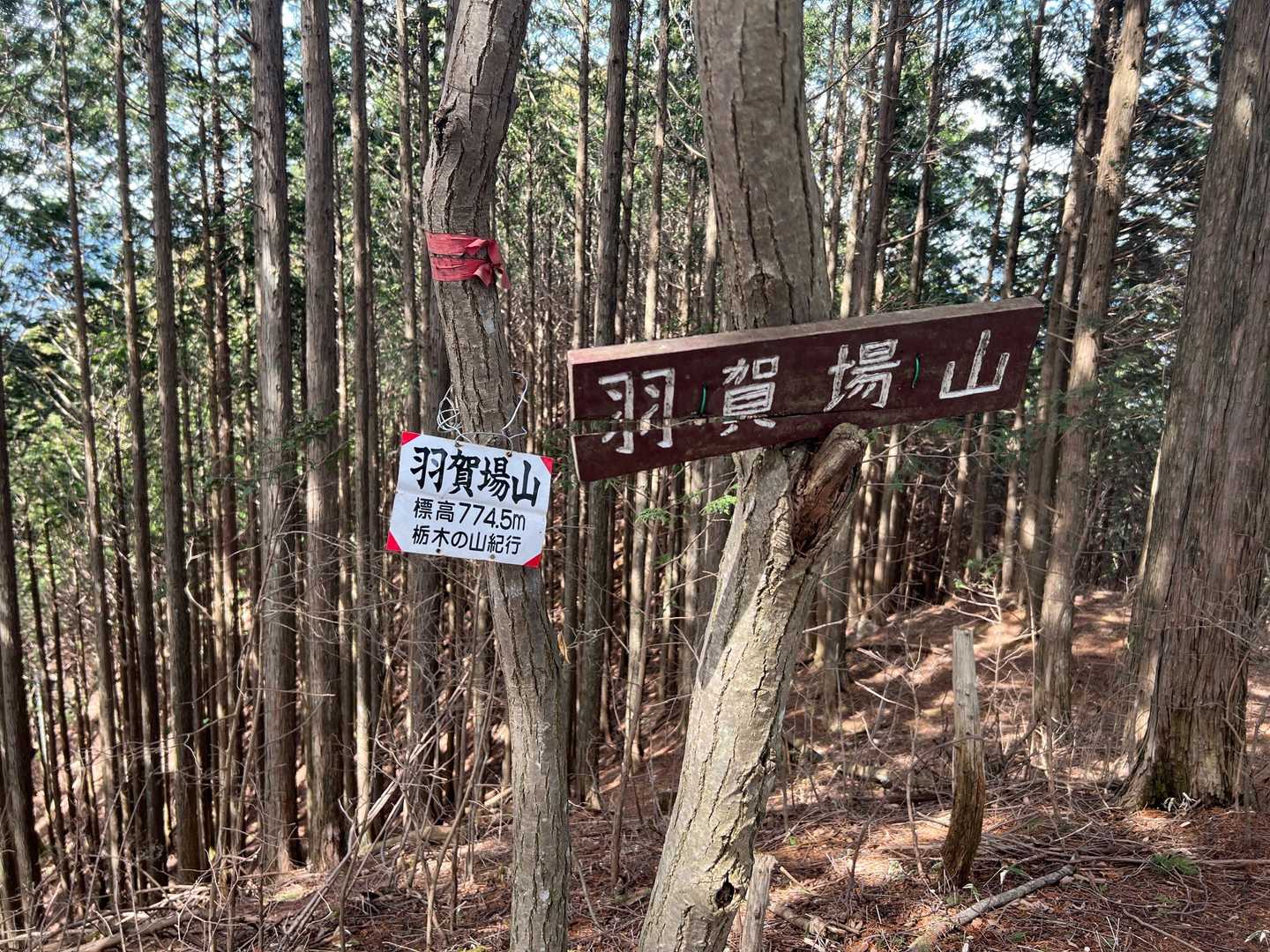 羽賀場山到着