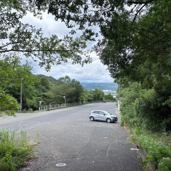 駐車場は2ヶ所あるっぽい。
Google Mapで一つ上のは道が細そうだったので、怯んで、下側の広い道路の脇に駐車。