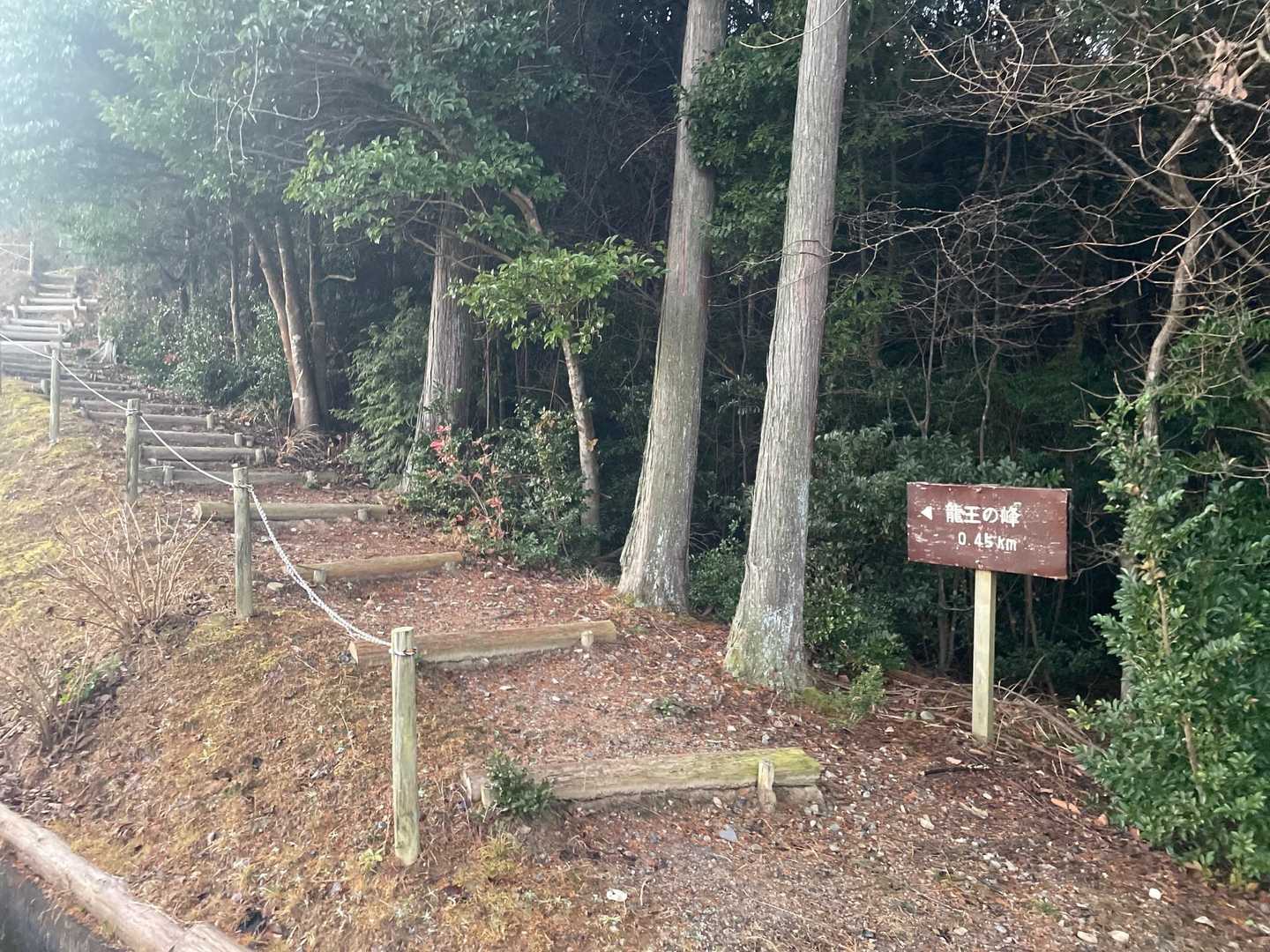 今日は4座周る予定なんで
市民プール跡地の横から
ショートコースで登ります。
