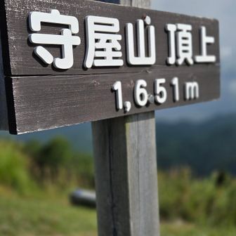 西峰✨️