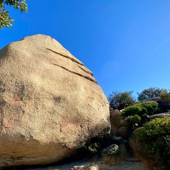 再びニコニコ岩へ戻り、周りを“ござるチェック”してみたが、ゴミは一つも見当たらず、拙者思わず「おお、潔し！」とガッツポーズ💪
しかも、最初に来た時におったおっちゃん殿が、まだ同じ場所で仁王立ちしておったゆえ、
「むむ…この清らかさ、もしやおっちゃん殿の秘奥義・影掃除の術か？」
と拙者ひとりで勝手に感謝しておった次第でござる。