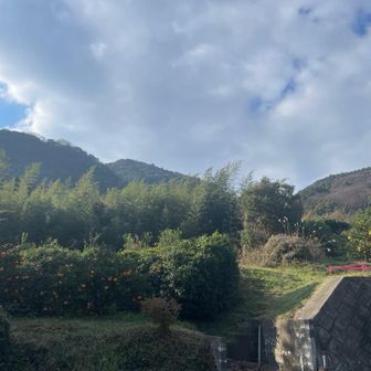 みかん畑を眺めながら登山口に向かいます