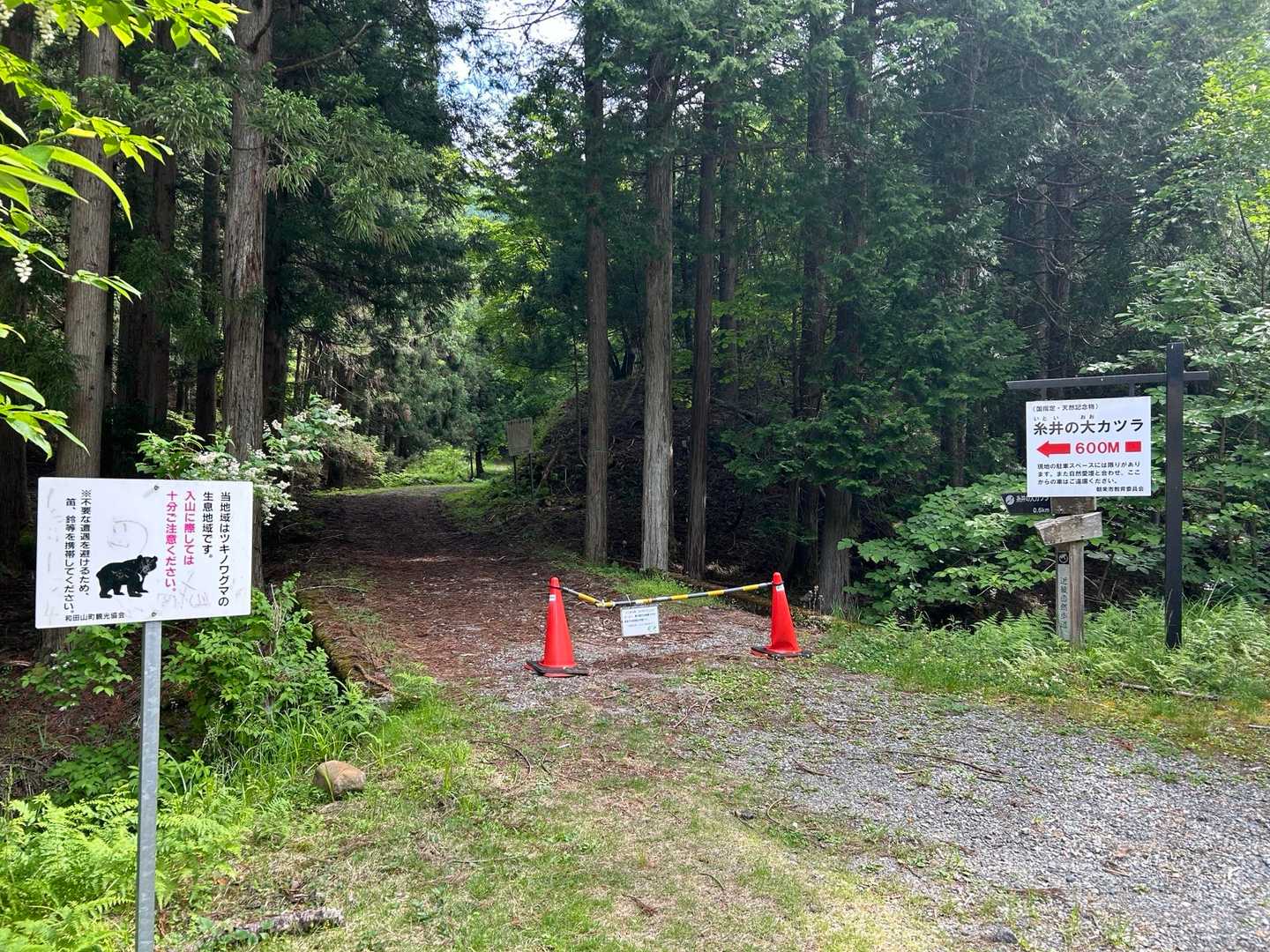 今回は東床尾山登山口近くの駐車場からです！
清掃活動をされていた地元の方と少しお話ししてからスタートしました😊