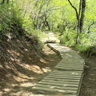 山頂まであと少し✨✨