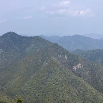 七種山。なんか最近の春は空気がくすんでるよなー😢