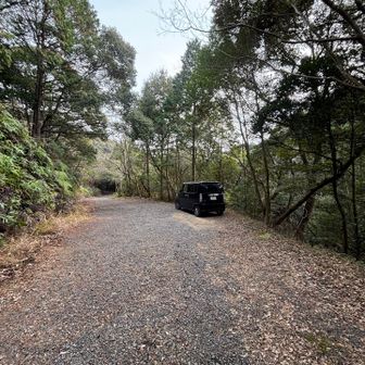 よいお年をお迎えください🎍🌄🎍