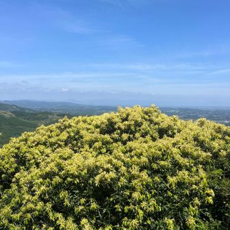 大岩展望所より、日向灘がぼんやり見えます。