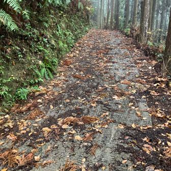 やっぱり車は記念碑の所までかな？
