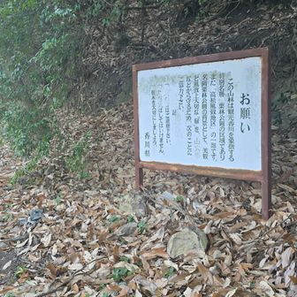 ここは右へ登っていく