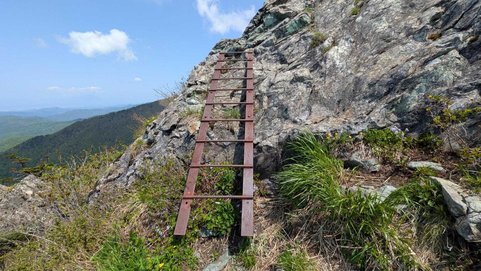 写真で見たことあるハシゴ