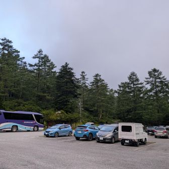 毛木平駐車場
朝、ここまで来るまで、清里、野辺山は雨☂️
天気予報も怪しかったので、安全を考えて、十文字峠からの周回ルートから、千曲川源流経由のピストンに変更☘️
