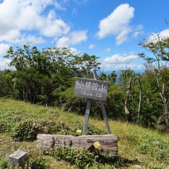 小檜曽山(こびそやま)1524m

なんだか途中にある感じで
その先までいってみました