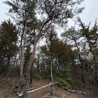 ここね😁

一本落ちてたから直してくれたよ🫥