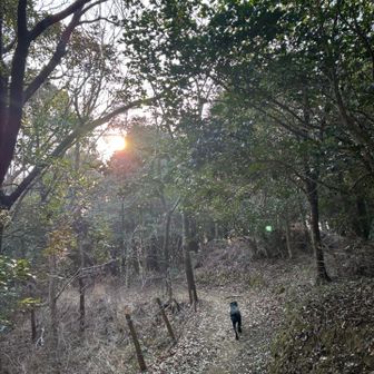 朝風呂入ってから、朝飯前に山登り。

静かな登山道、貸し切りでした。