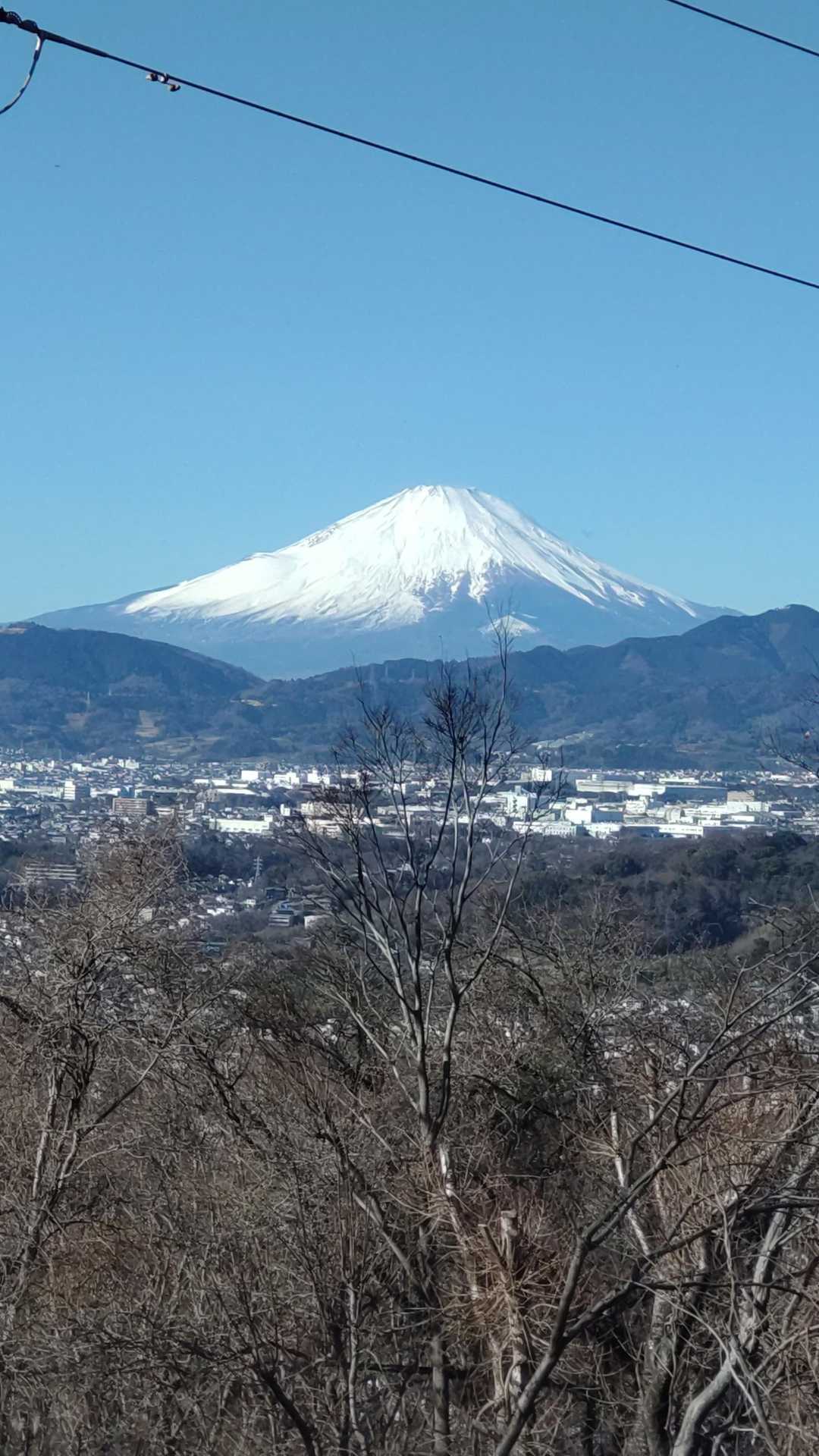 秦野駅-弘法山公園入口登山口-権現山-弘法山-善波峠-善波 縦走コースの写真