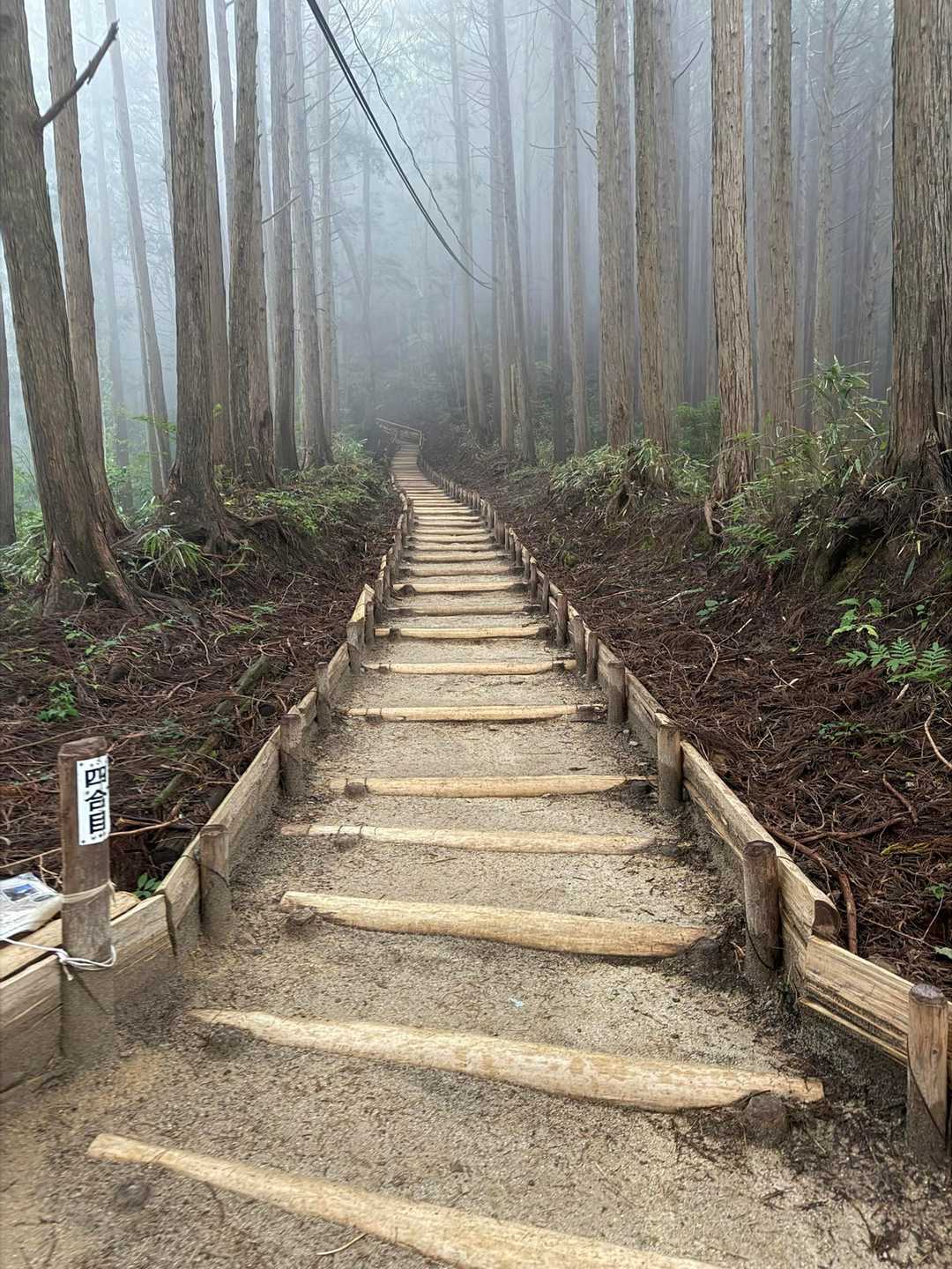 雨が降っていてもそこそこの人が登ってきます。
千早本道は、☂を差しながら登れるから雨が降っても大丈夫です。