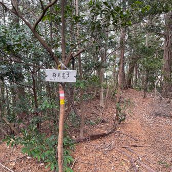 下和山(槇尾富士)