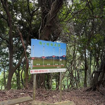分岐