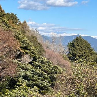 しばらく待ちましたが、富士山はこれが限界でした。まあ仕方ないね。