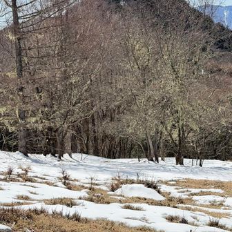 高谷山、途中まで登りましたが、雪が深すぎて断念しました😂