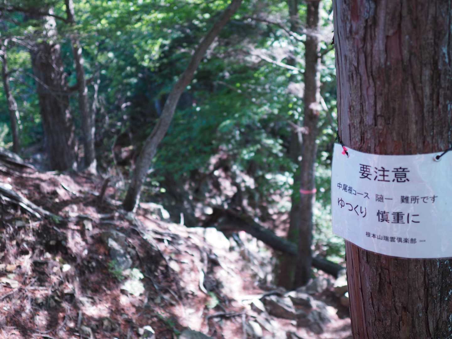 中尾根コース随一の難所💪