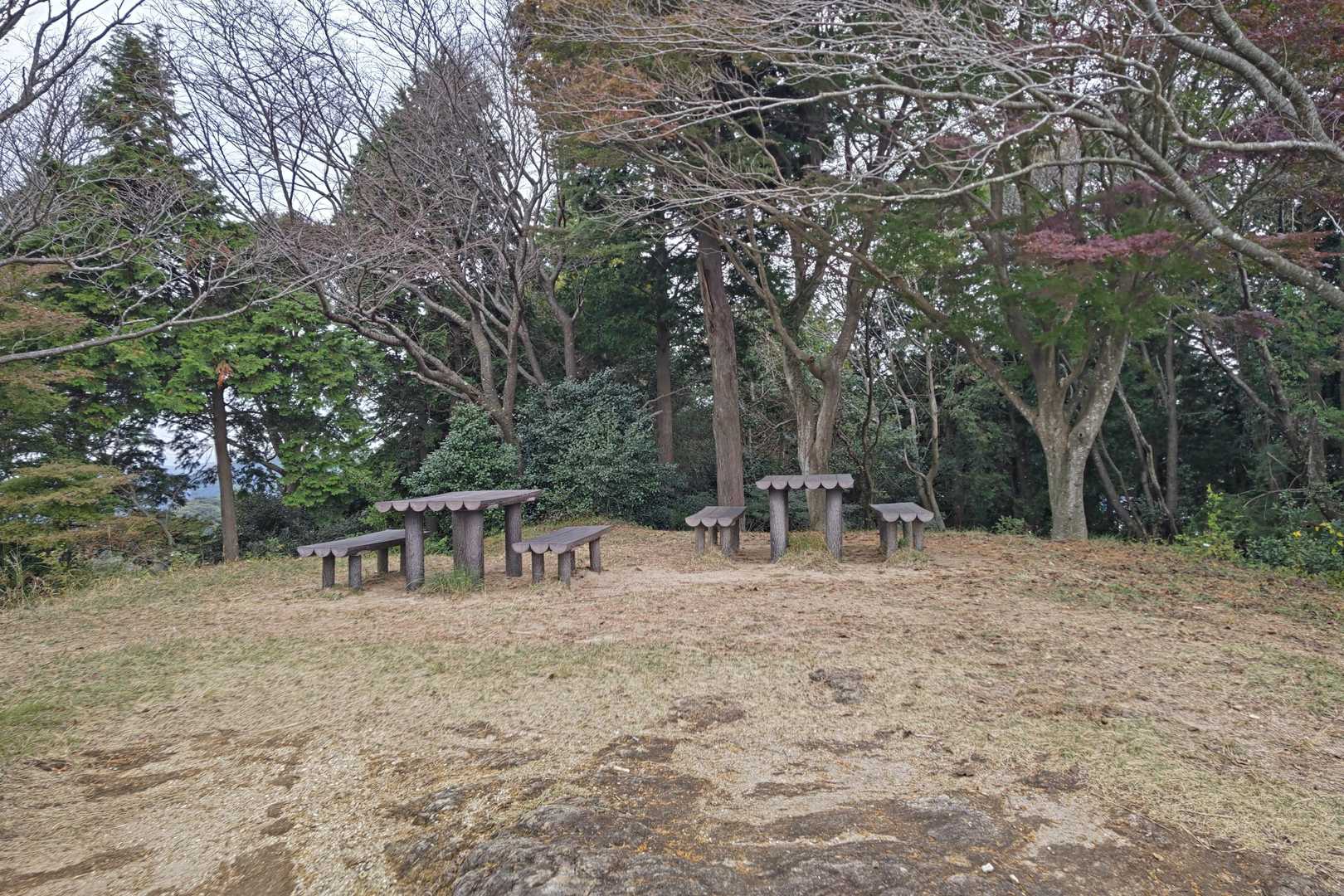 食事もできるよ