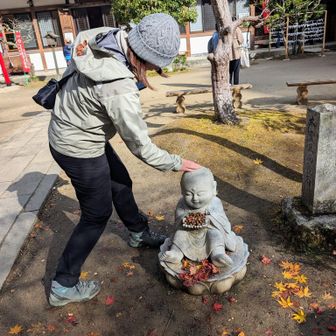 あれれ

あんょ投げ出して
チョコんと座る
お顔がキレーなお地蔵さま
どんぐりいっぱぃね（笑）

ハクちゃんナデナデ
かわぃ♡

ついでにフードの中見て（笑）

足投げ出してるのは
何の意味があるのかな。