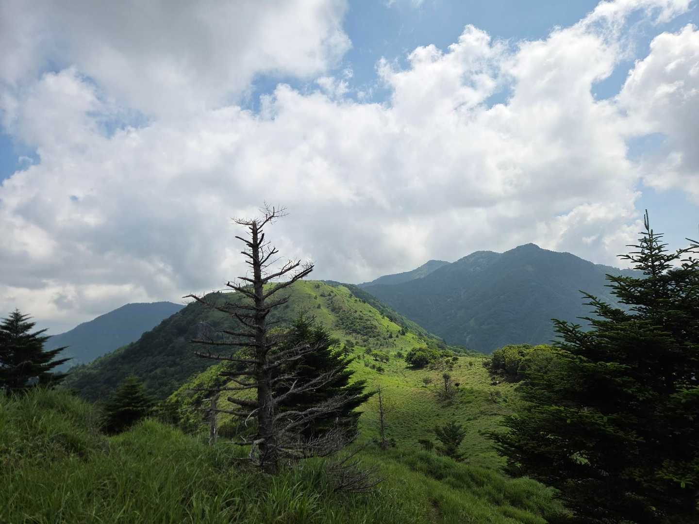振り返ると良き景色が😍