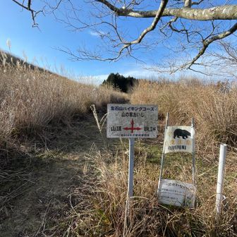 周回しようかなと思って来た道と反対側へ降りてみる。
🐻注意の看板…
うちの農家さんにも生石高原は熊いるから気をつけて〜と言われたっけ。