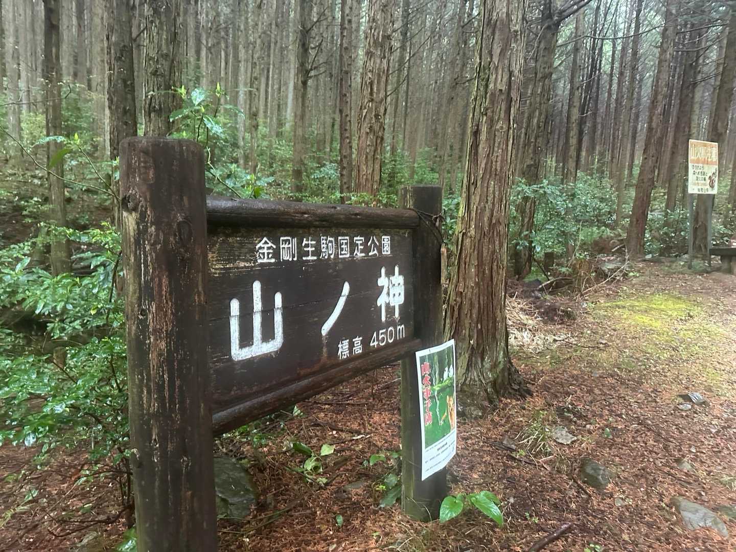 タンボ山から先は雨が降ってる影響でスマホが濡れて反応せず、Siriで YAMAP開こうにもパスワード入力してください､､､って。😵
山ノ神（450m）まで下りてきて、乾いたタオルでスマホ拭いて、やっと写真も撮れましたよ。😅
