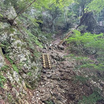 急登があるのだと思ってましたが、ハシゴと鎖で一気に稼げました