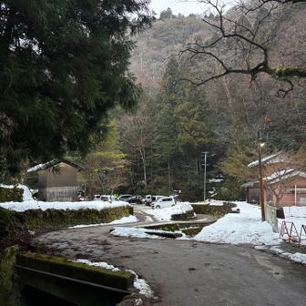 午前7時、すでに駐車場は埋まりつつありました。あっぶねー。