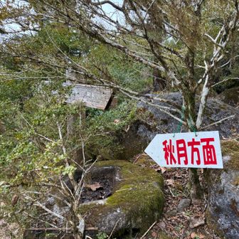 一服休憩のお兄さん達に、「馬見山から走って来たのー？」って聞かれたんで、馬見山で折り返して来たって言ったら「マジか⁉︎」って感じで若干引いてました笑🤣
その反応も楽しい😁
山楽しい🏃🏼🏃🏻‍♀️🏃🏻‍♂️