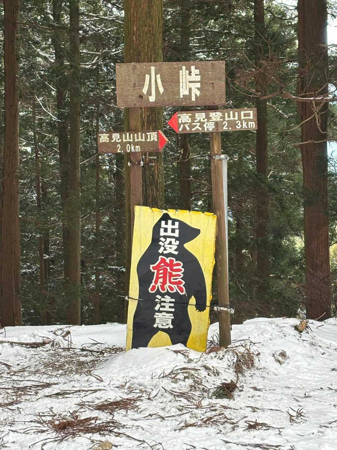高見峠-高見山 周回コースの写真