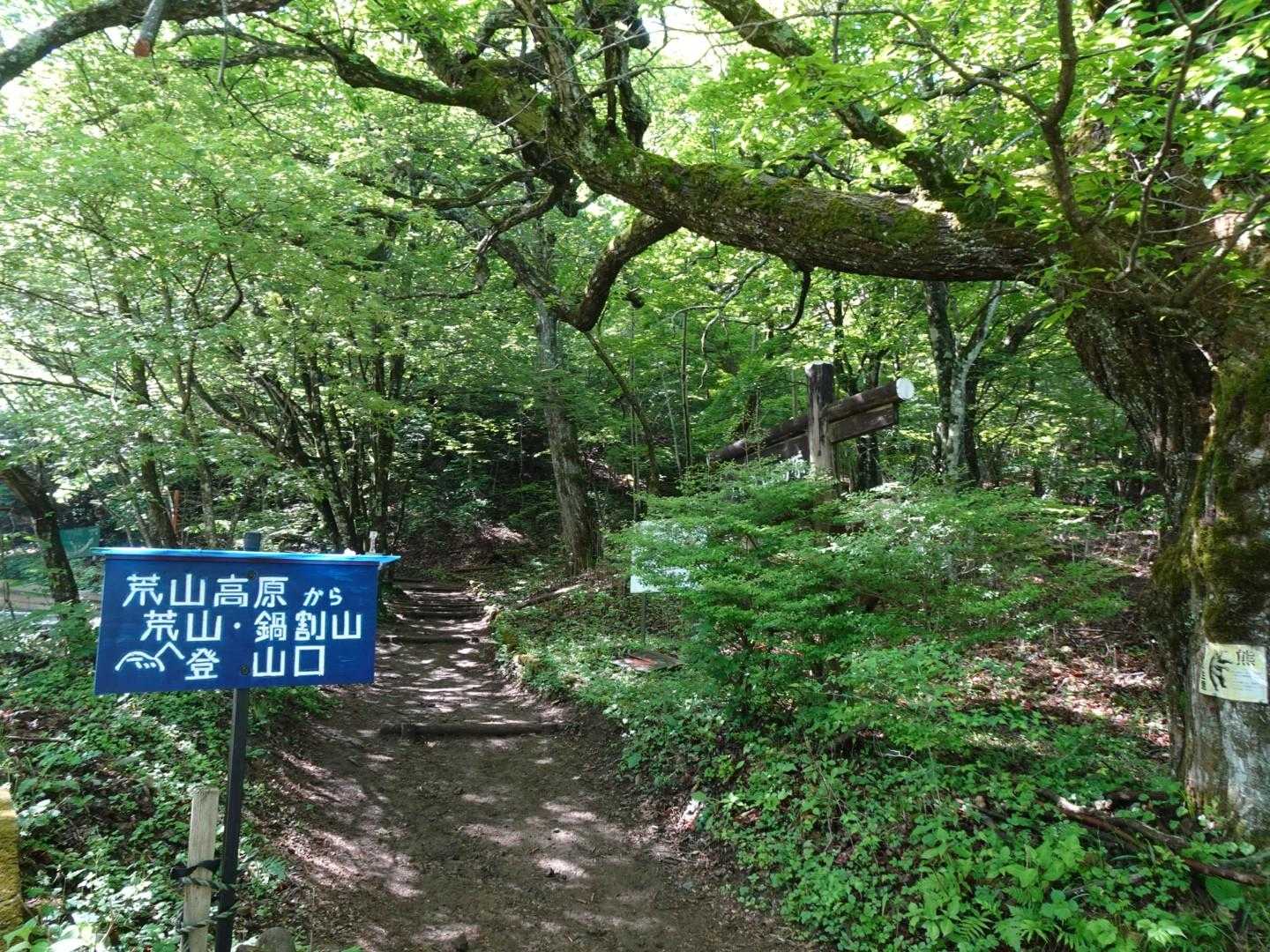 鍋割山 | 山頂に広がる大パノラマ、木漏れ日と岩肌の楽しめる初心者コースの写真