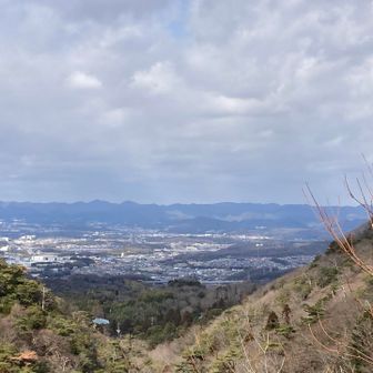 展望デッキからの眺望