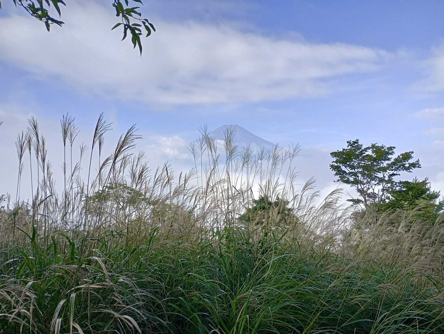 富士山見えました！
あっ！と声を出してしまいました😳