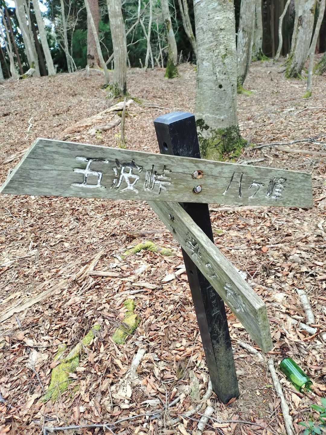 案内標識に従って、左に進みます

この辺りから道が不明瞭になります
ピンクテープも少な目です

落葉もかなり多目なんで、足元も注意ですね