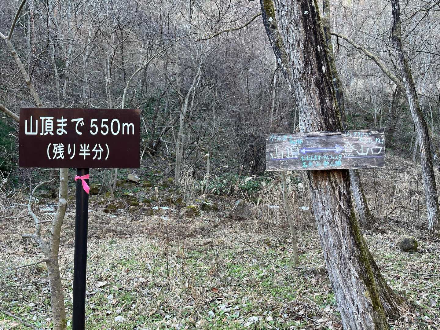 残り半分に励まされ、進みます