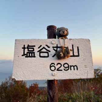 トウチョ😪