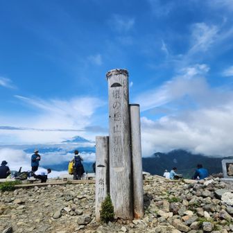 塔ノ岳でも富士山！
これは！！