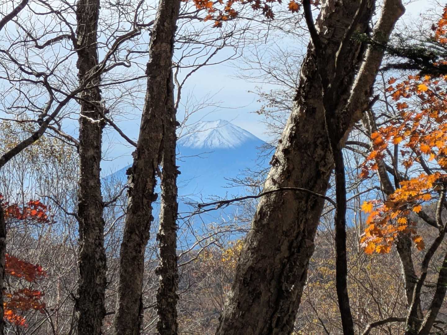 出たー、
富士山🗻どーん😍