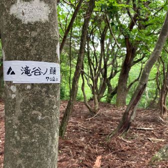 滝谷の頭で昼食