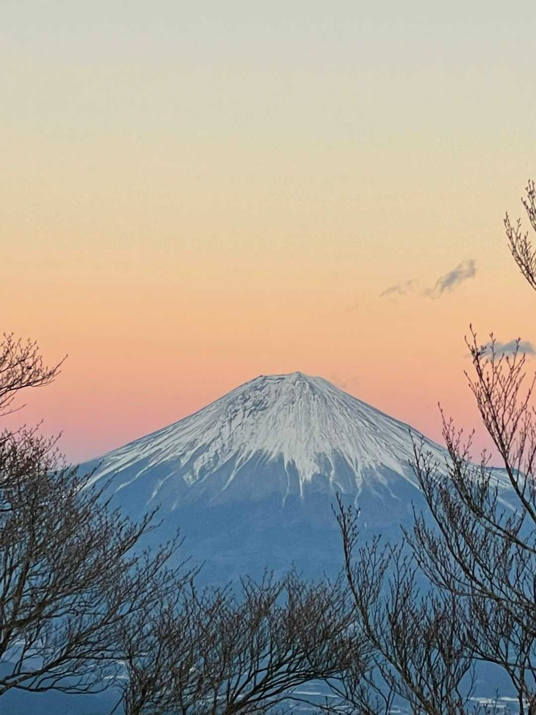 青笹山の写真